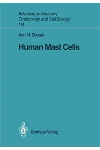 Human Mast Cells