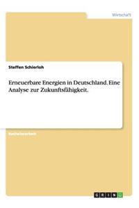 Erneuerbare Energien in Deutschland. Eine Analyse zur Zukunftsfähigkeit.