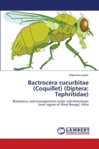 Bactrocera cucurbitae (Coquillet) (Diptera