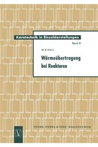 Wärmeübertragung bei Reaktoren