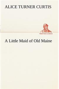 A Little Maid of Old Maine