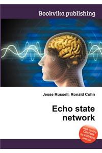 Echo State Network