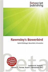 Rawnsley's Bowerbird
