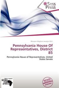 Pennsylvania House of Representatives, District 85