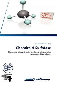 Chondro-4-Sulfatase