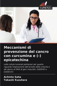 Meccanismi di prevenzione del cancro con curcumina e (-) epicatechina