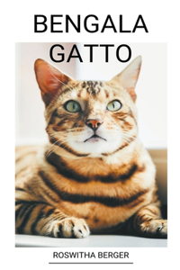 Bengala Gatto