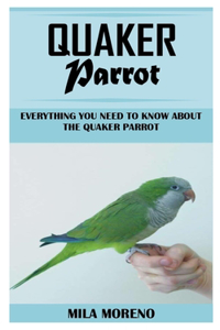 Quaker Parrot
