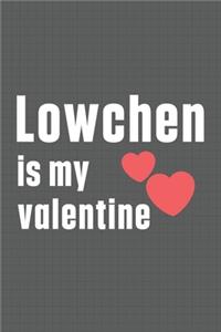 Lowchen is my valentine