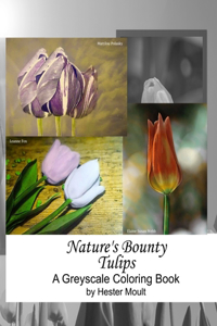 Nature's Bounty - Tulips