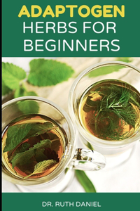Adaptogen Herbs for Beginners