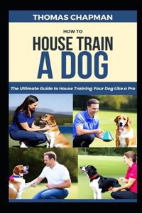 How To House Train A Dog