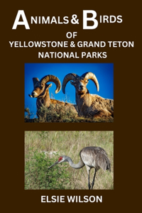 Animals and Birds of Yellowstone and Grand Teton National Parks