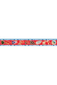 Ohio Borders for Bulletin Boards