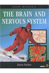 Brain and Nervous System