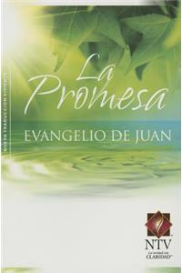 La Promesa: Evangelio de Juan