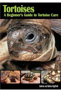 Tortoises