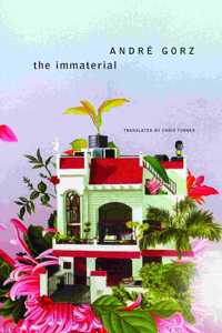 The Immaterial