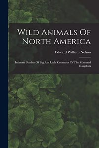 Wild Animals Of North America