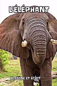 l'éléphant