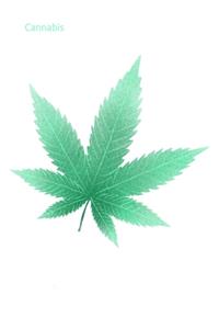 Cannabis