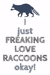 I Just Freaking Love Raccoons