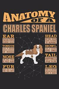 Anatomy Of A Charles Spaniel