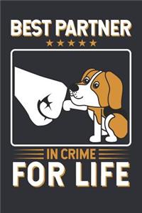 I was normal 2 Beagles ago