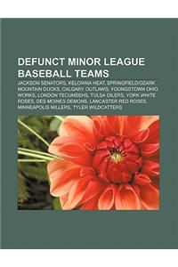 Defunct Minor League Baseball Teams