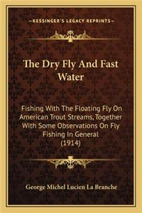 Dry Fly And Fast Water
