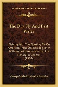 Dry Fly And Fast Water