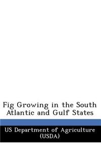 Fig Growing in the South Atlantic and Gulf States