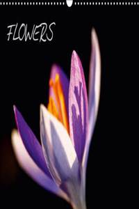 Flowers / UK-Version 2015