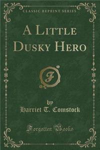 A Little Dusky Hero (Classic Reprint)