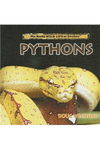Pythons