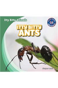 Itty Bitty Ants