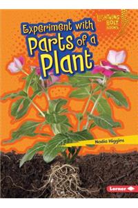 Experiment with Parts of a Plant