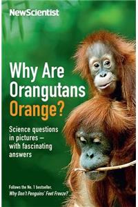 Why Are Orangutans Orange?