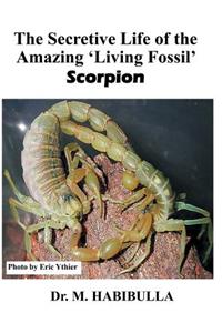 Secretive Life of the Amazing 'Living Fossil' Scorpion