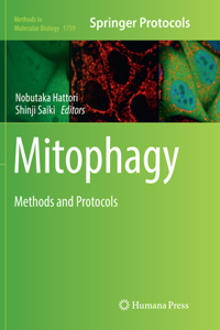Mitophagy