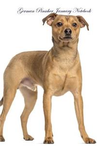 German Pinscher January Notebook German Pinscher Record, Log, Diary, Special Memories, to Do List, Academic Notepad, Scrapbook & More