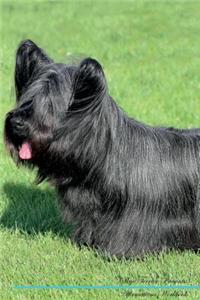 Skye Terrier Affirmations Workbook Skye Terrier Presents