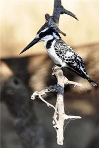 Kingfisher Bird Journal