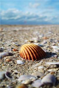 A Lovely Seashell at the Seashore Journal