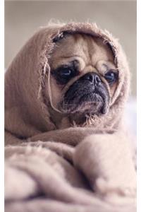 Pug's In A Blanket Lined Notebook