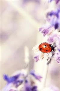 Cute Ladybug on a Flower Journal