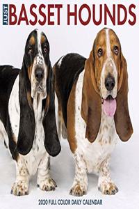 Just Basset Hounds 2020 Box Calendar (Dog Breed Calendar)