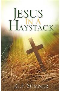 Jesus In A Haystack