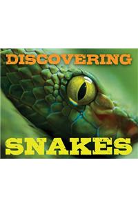 Discovering Snakes Handbook