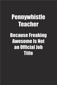 Pennywhistle Teacher Because Freaking Awesome Is Not an Official Job Title.